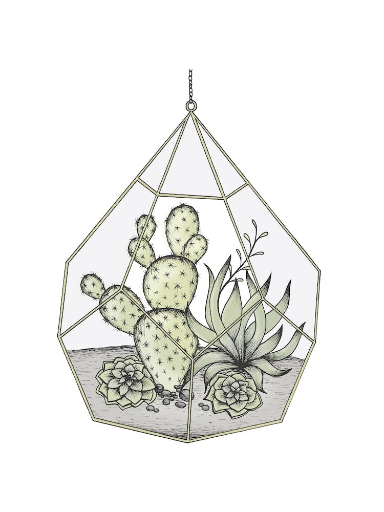 Succulent Terrarium