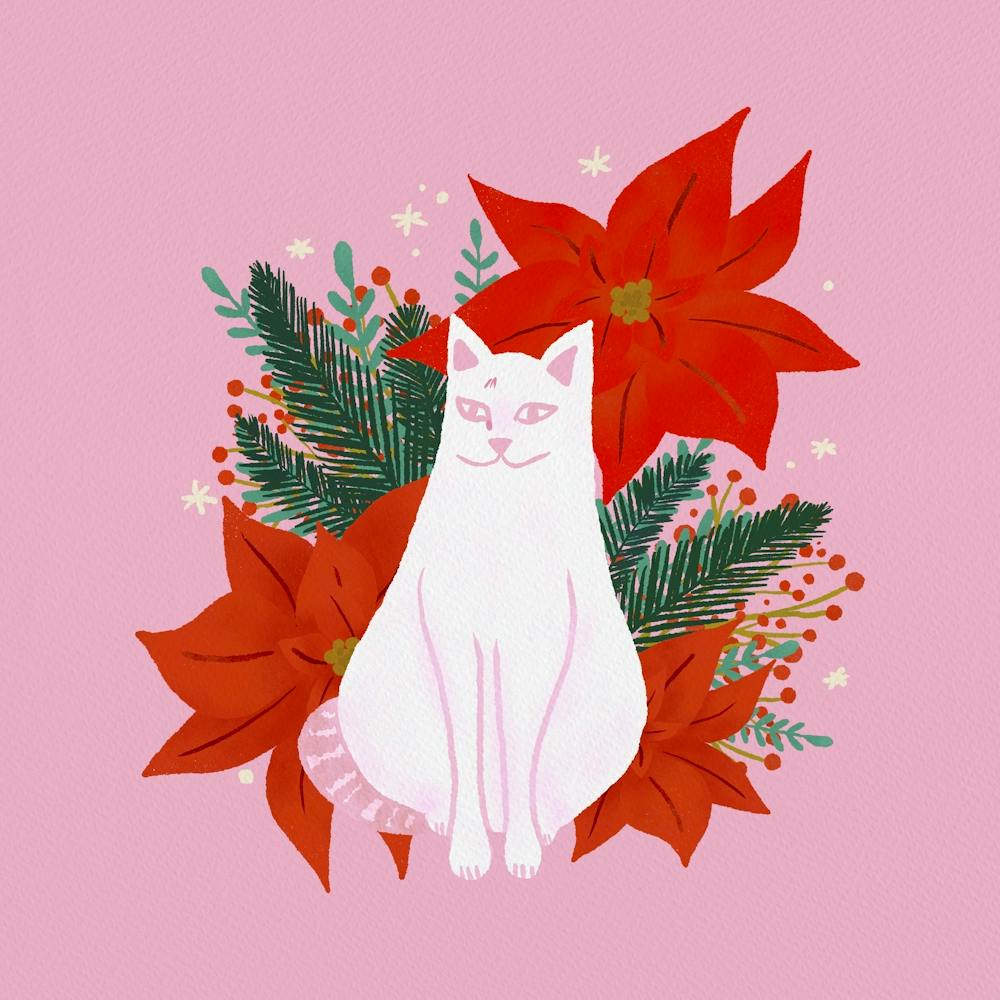 White Cat Christmas Pink And Orange