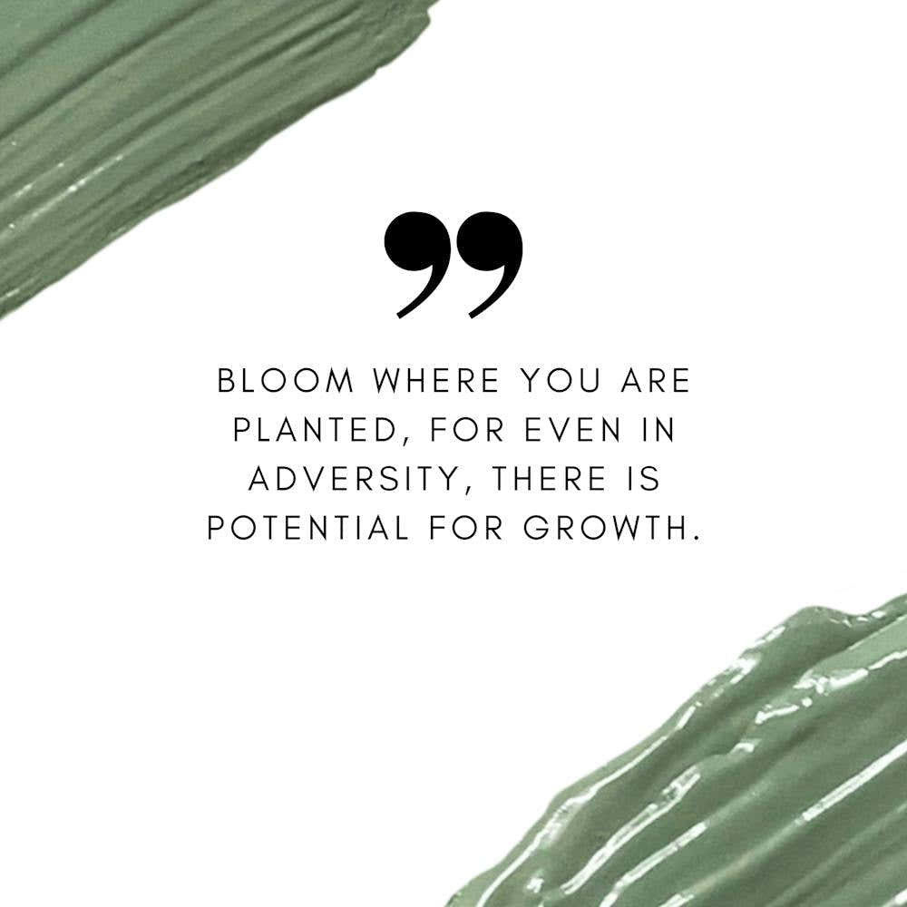 Bloom Where You Are Planted For Even In Adversity There Is Potential For Growth
