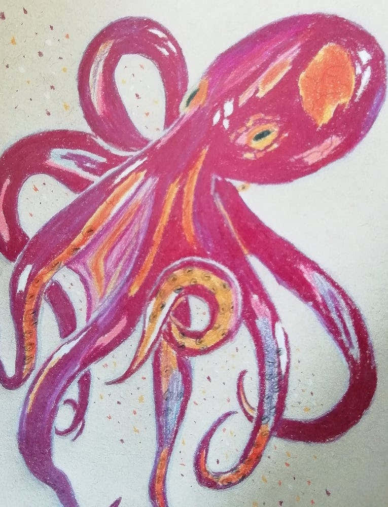 Octopus