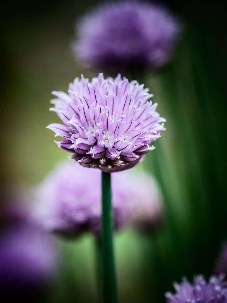 All Alone With My Thoughts