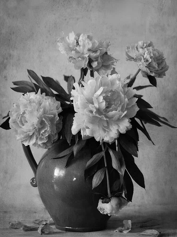 Peonies In A Vase