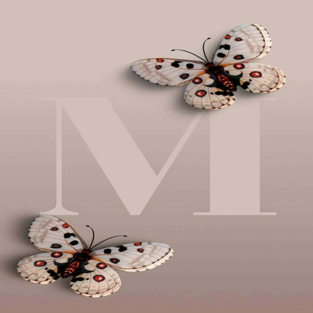 Butterfly M