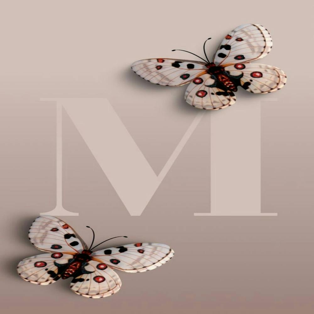 Butterfly M