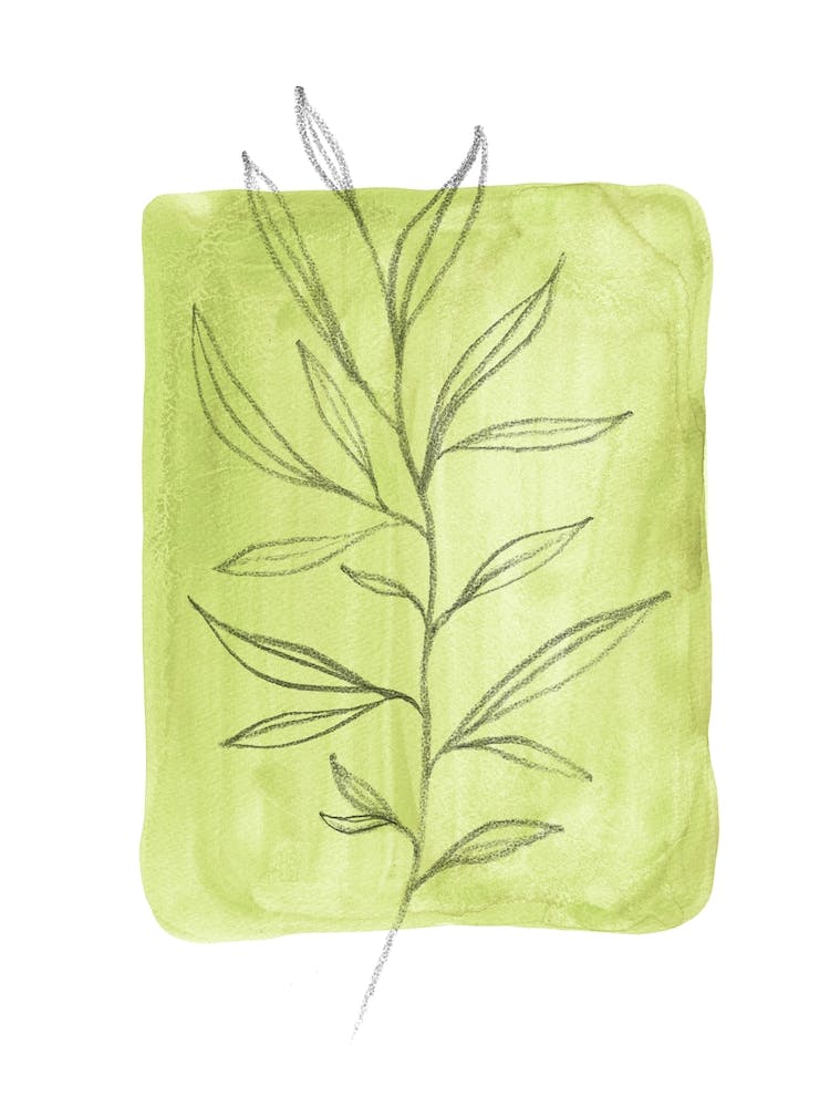 Green chartreuse Leaf