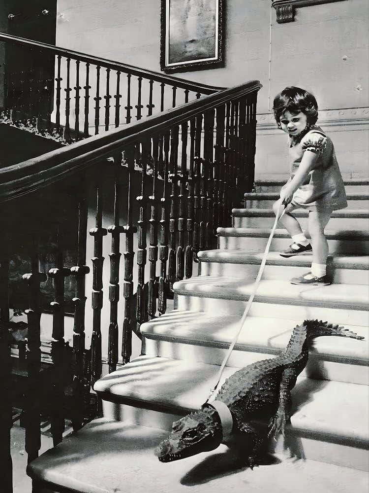 Girl Walking Baby Crocodile On Leash Wall Art, Black And White Vintage Photo, Oddities, Retro Print, Funny Poster Gift, Entry Room Decor