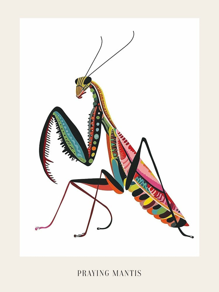 Colourful Insect Illustration Praying Mantis 3 Poster