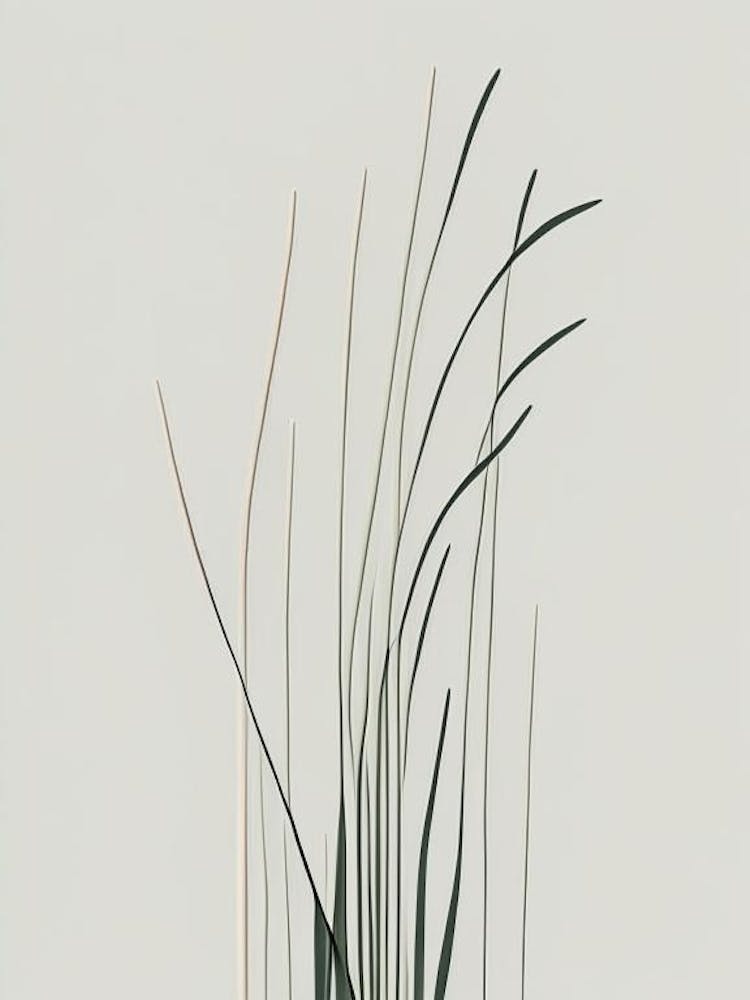 Scouring Rush Wildflower Simplicity