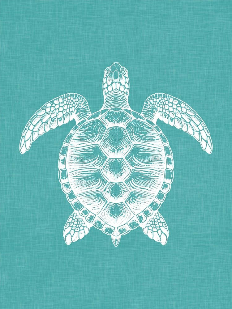 Vintage Sea Turtle Silhouette On Teal Linen Texture