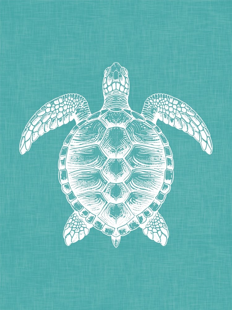 Vintage Sea Turtle Silhouette On Teal Linen Texture