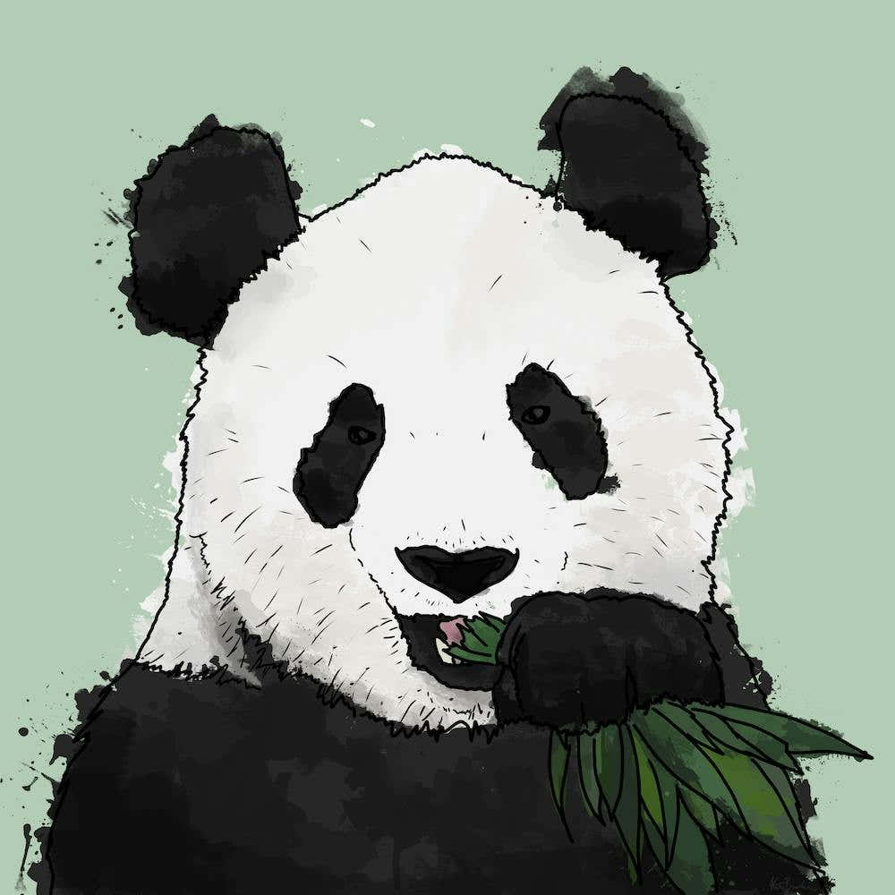Panda And Bamboo Square