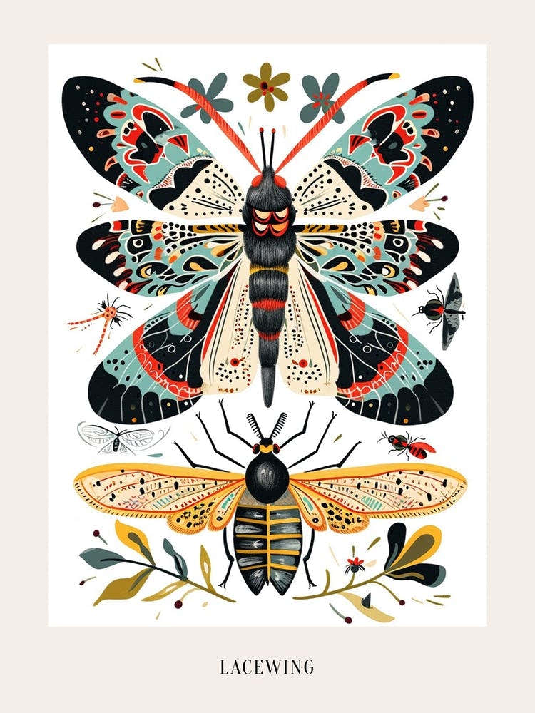 Colourful Insect Illustration Lacewing 7 Poster