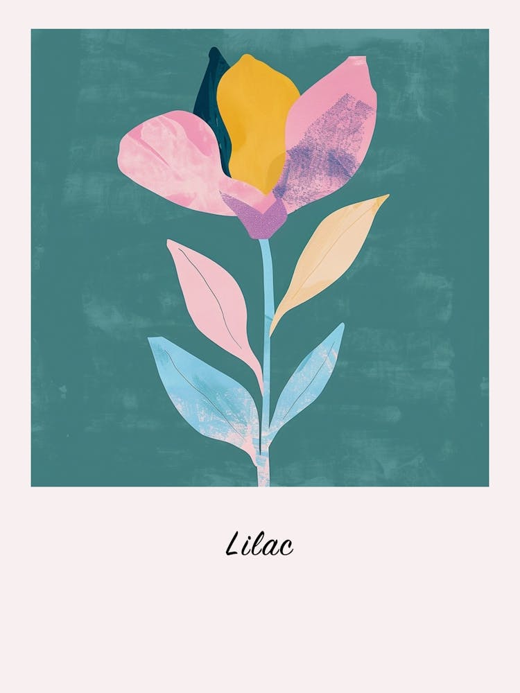 Lilac 1 Square Flower Illustration Poster