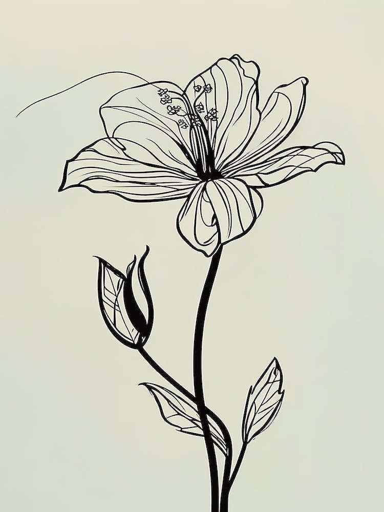 Lilies Line Art Flowers Illustration Neutral 11