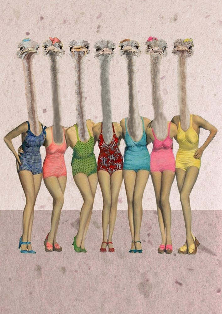 Ostriches In Retro Bathsuits