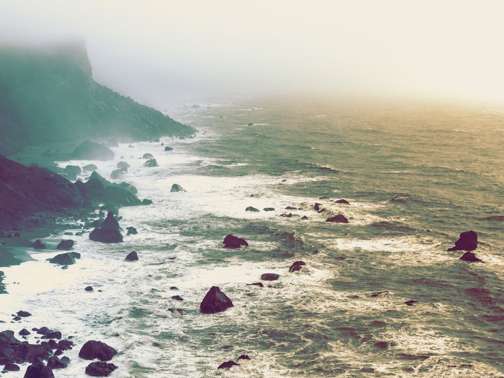 Fog On The Coast - Pacific Northwest