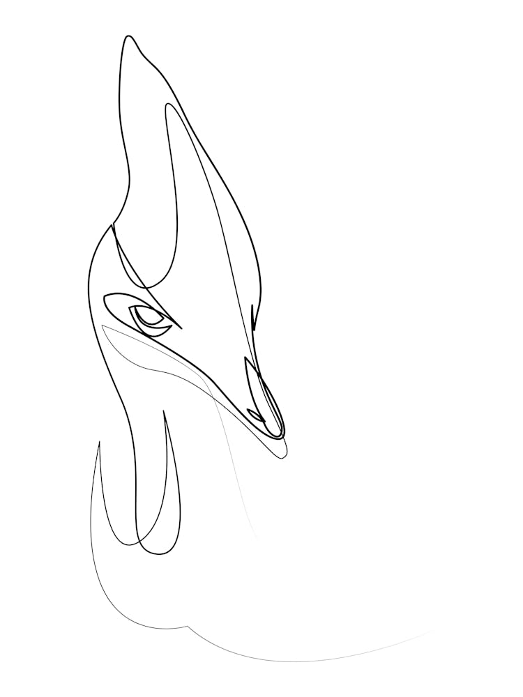 Cassowary