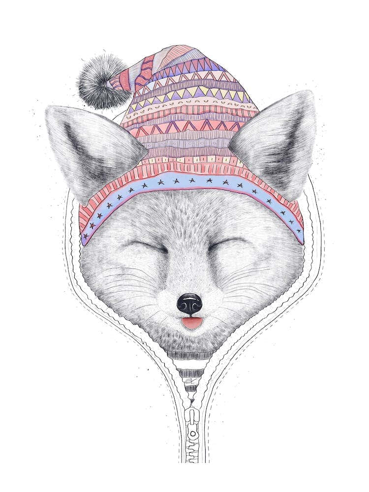 Fox In A Hood