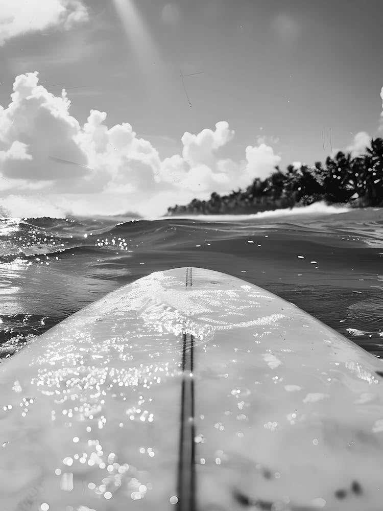 Black And White Surfboard 4