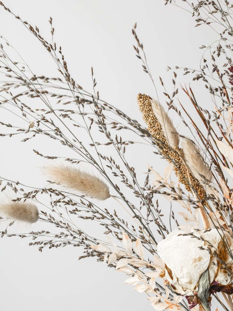Dried Flower Arrangement_2191091