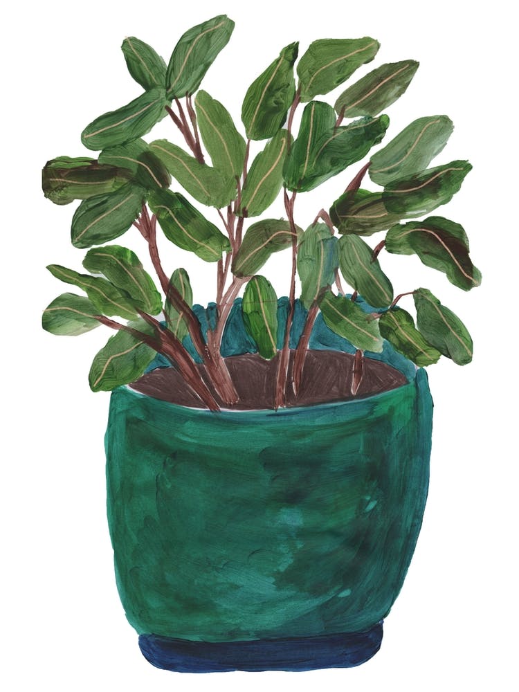 Love Is A Gift You Shared With Me