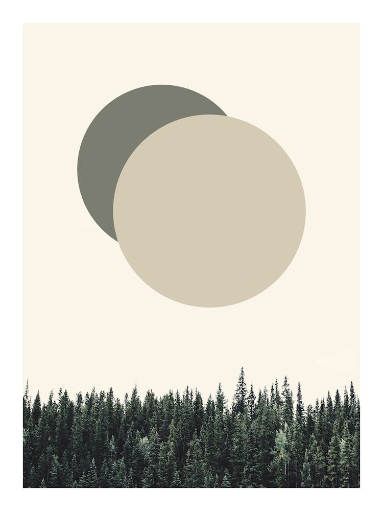 Nature Eclipse Forest