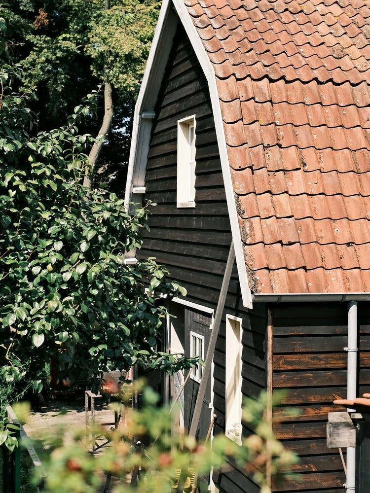 Black Barn // The Netherlands // Travel Photography