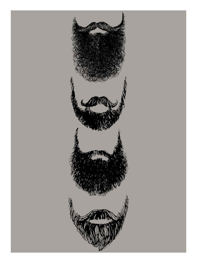 Beards Print
