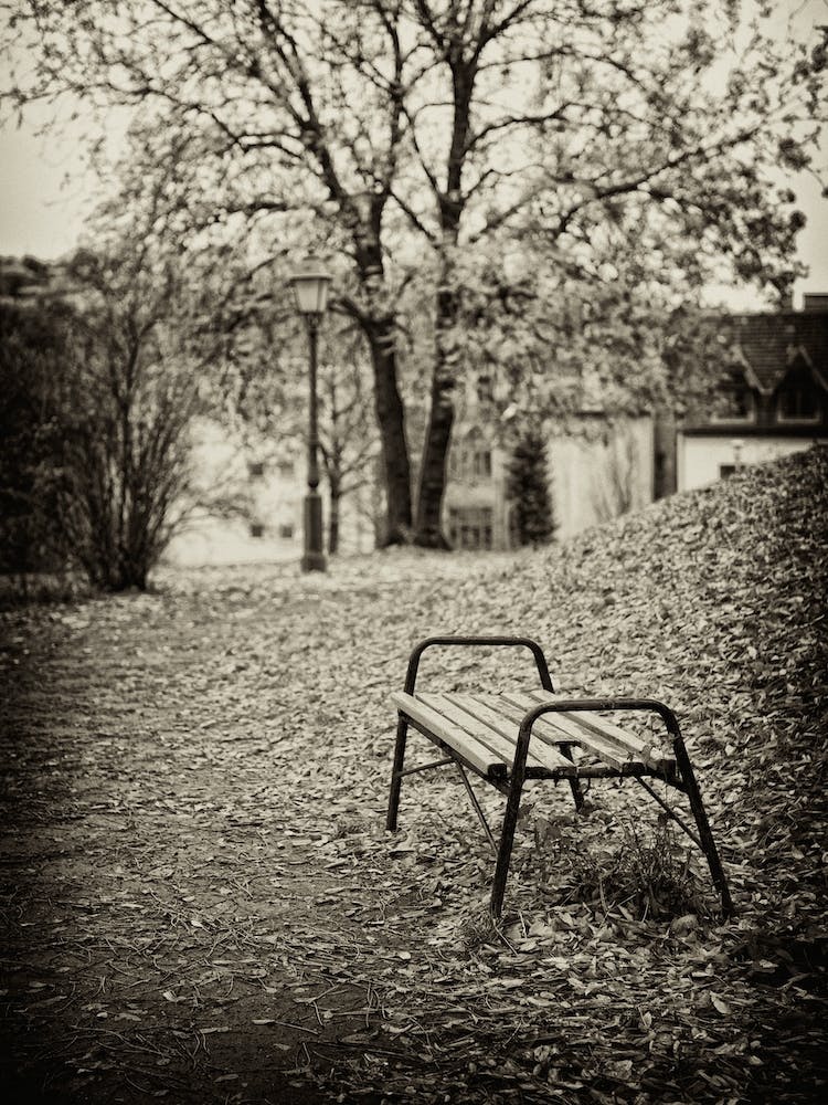 Broken Park Bench Budapest