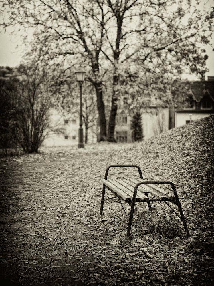 Broken Park Bench Budapest