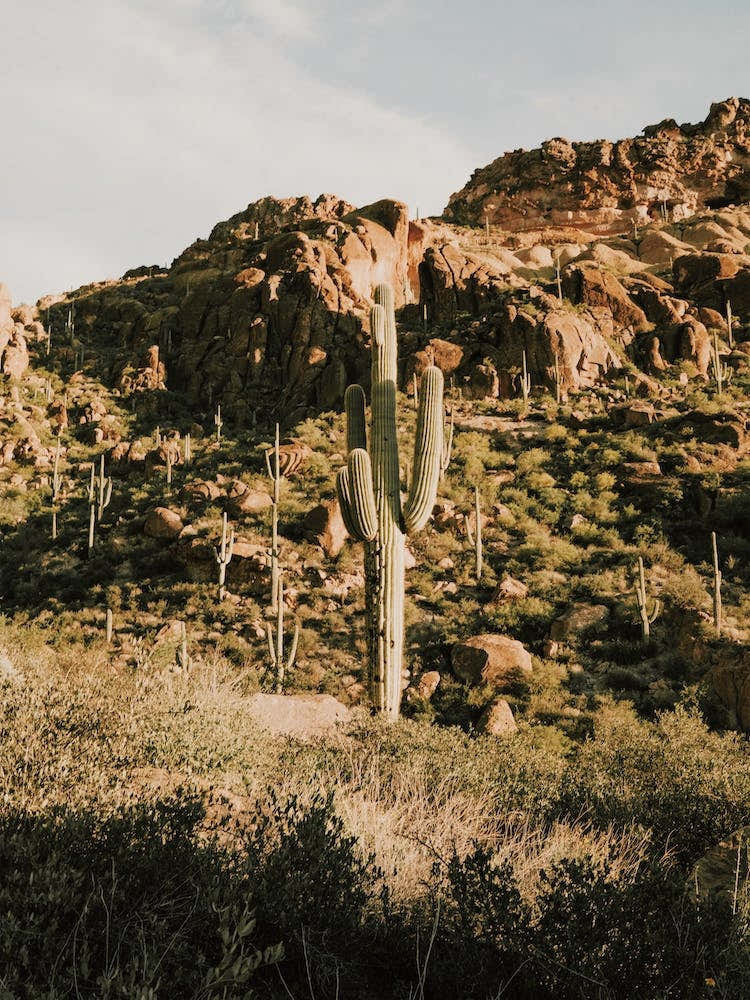 Desert Hiking Trail Scenery
