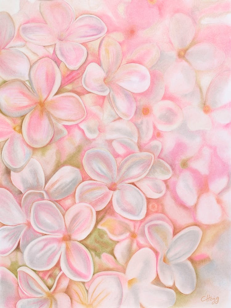 The Essence Of Spring