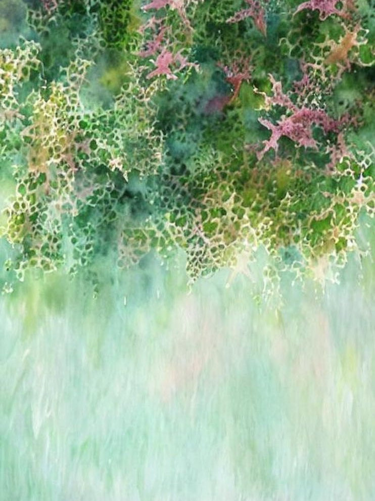 Acropora Pulchra Iii Storybook Watercolour