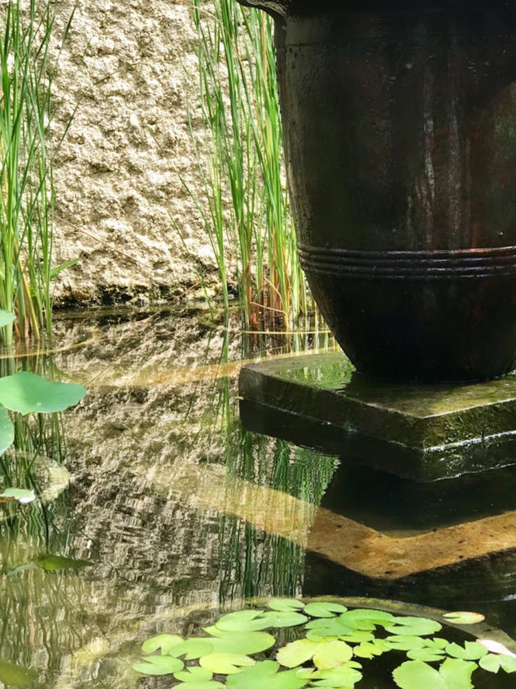 Asian Garden