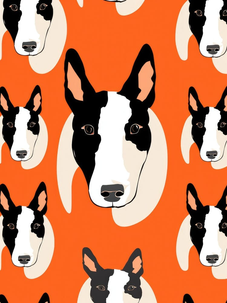 Bull Terrier 10