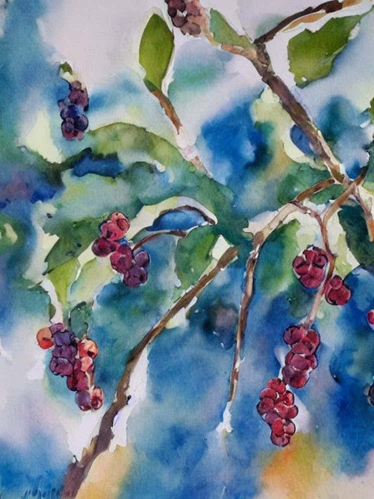 Mulberry 1 Classic Fruit