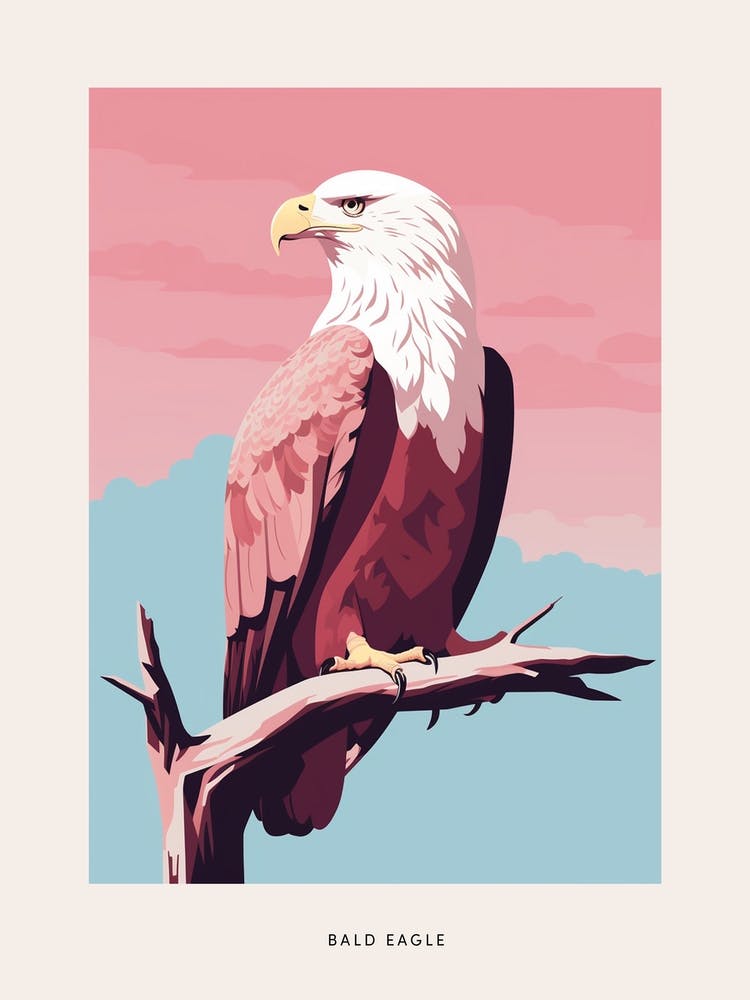 Minimalist Bald Eagle 2 Bird Poster