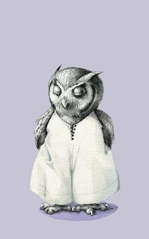 Miss Owl In Jumpsuit