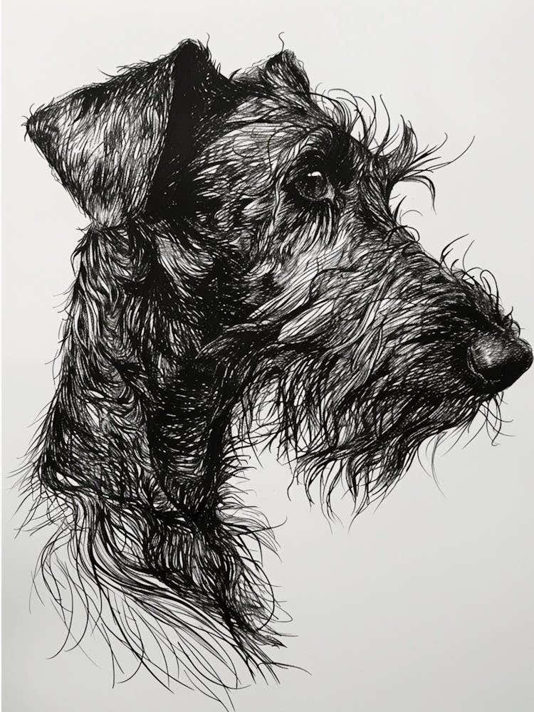 Irish Wolfhound Terrier Dog Line Sketch 2