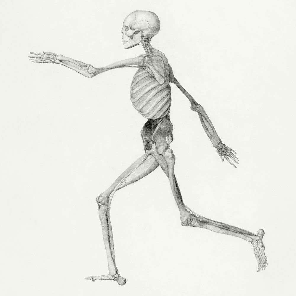 Image From Rawpixel Id 3820038 Jpeg