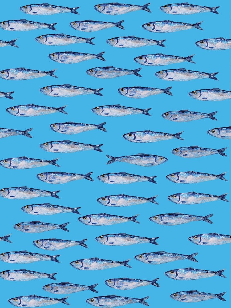 Sardines Swimming Blue