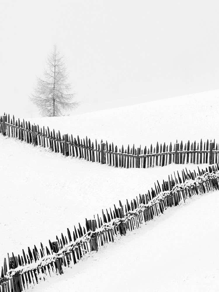 Fences Playing With Lines