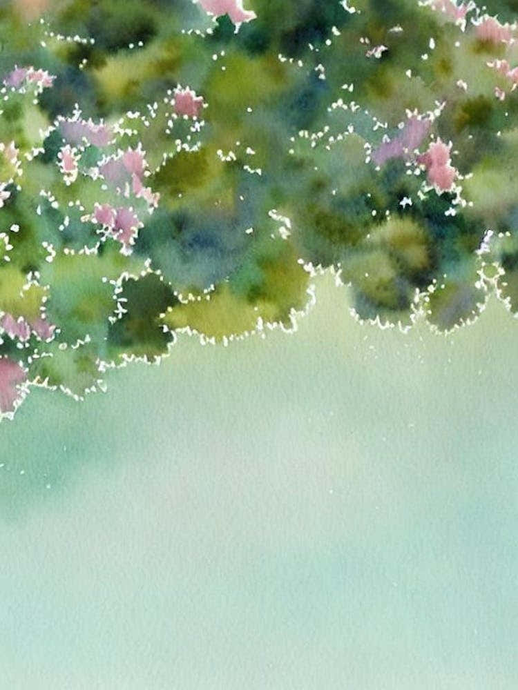Acropora Austera Ii Storybook Watercolour