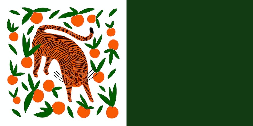 Tangerine Tiger