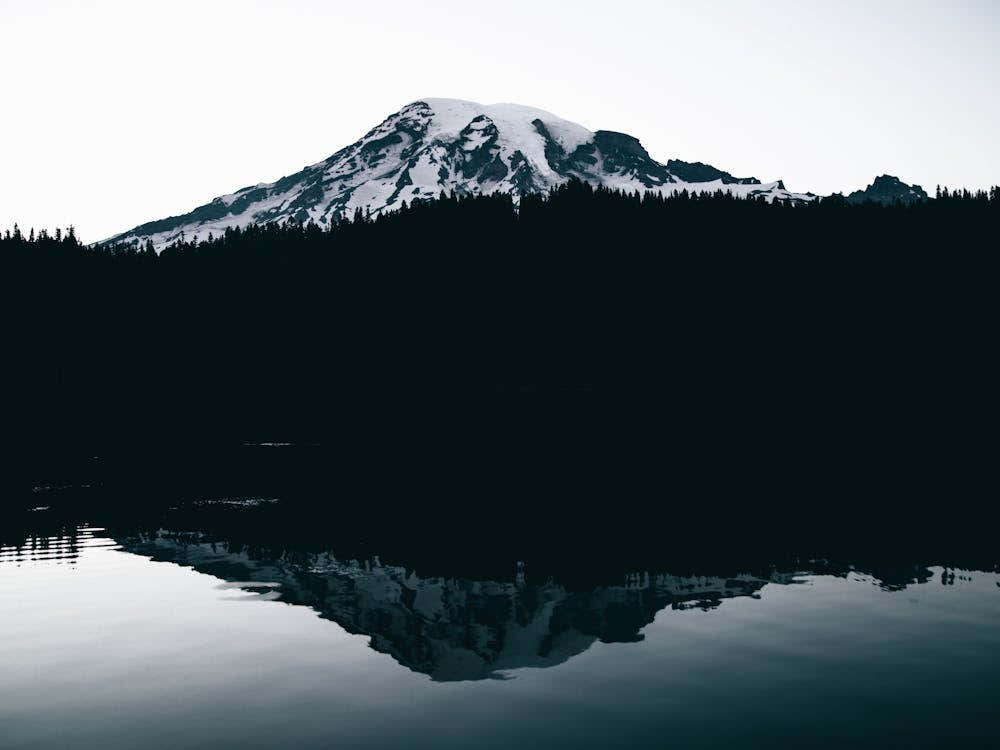 Rainier Reflections