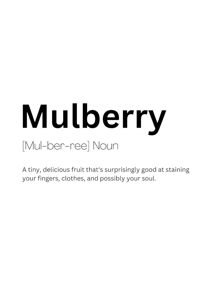 Mulberry Definition Meaning 1