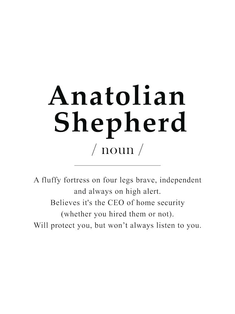 Anatolian Shepherd Definition Poster - Dictionary