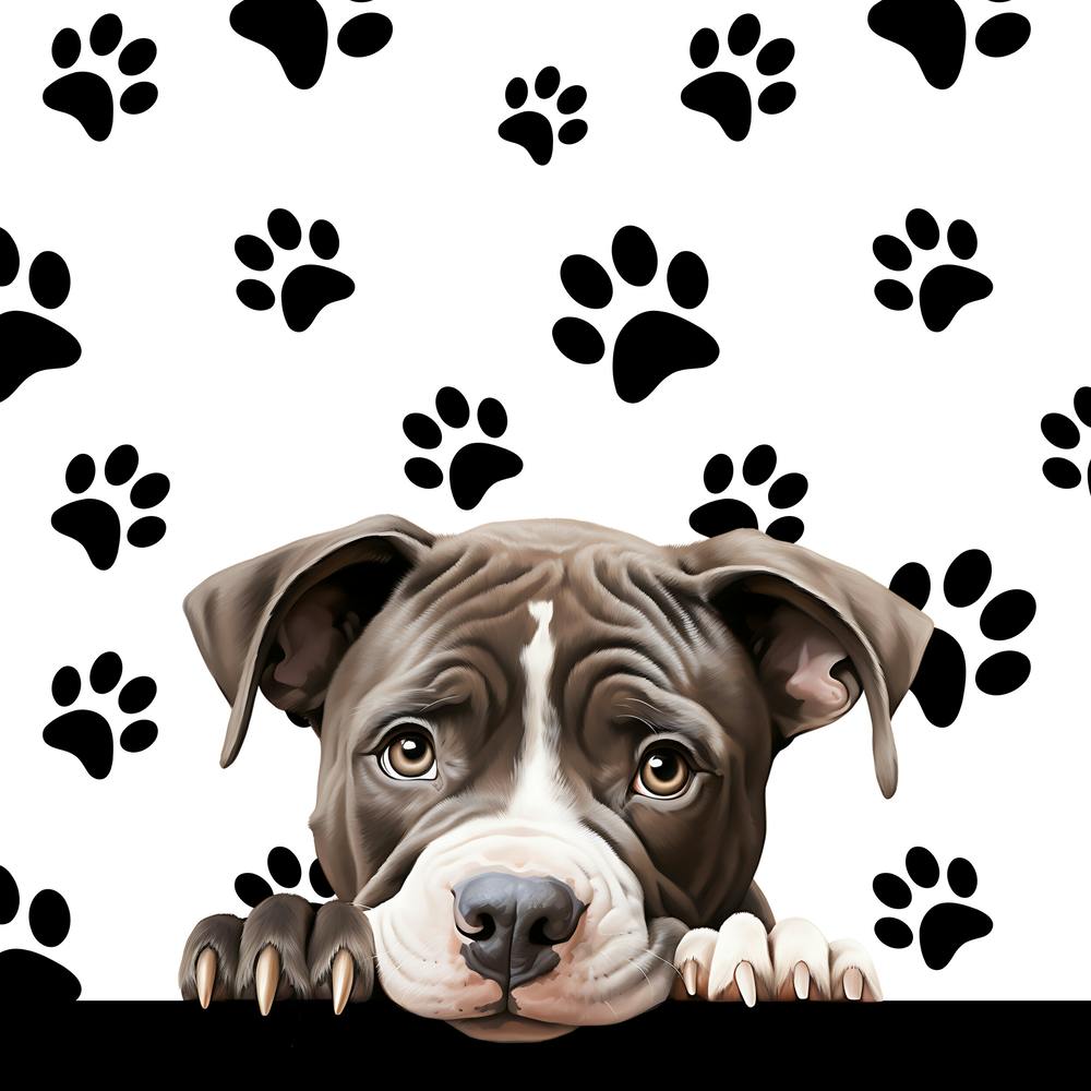 Dog With Paw Prints