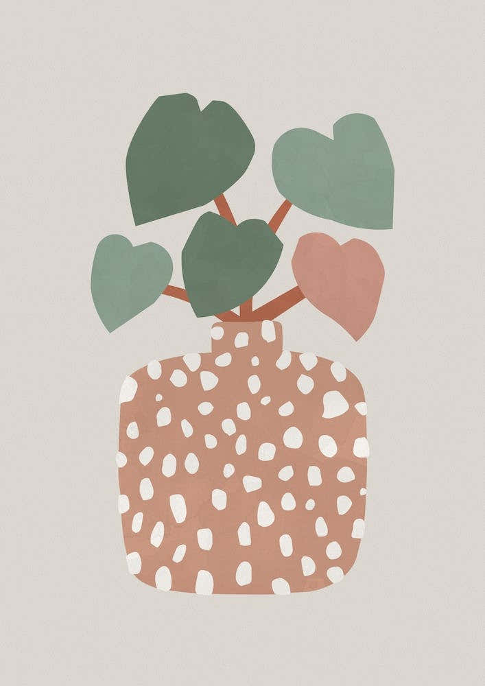 Terrazzo And Heart Plant