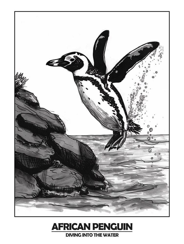 Penguin Diving Into The Water Poster 1